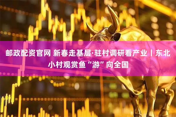 邮政配资官网 新春走基层·驻村调研看产业丨东北小村观赏鱼“游”向全国