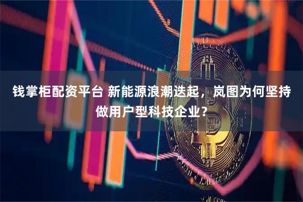 钱掌柜配资平台 新能源浪潮迭起，岚图为何坚持做用户型科技企业？
