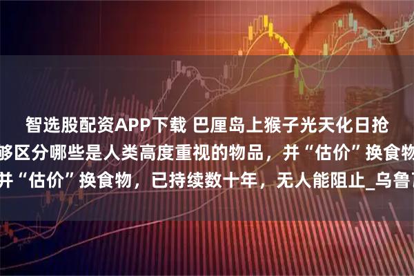 智选股配资APP下载 巴厘岛上猴子光天化日抢游客手机、钱包，还能够区分哪些是人类高度重视的物品，并“估价”换食物，已持续数十年，无人能阻止_乌鲁瓦图_寺庙